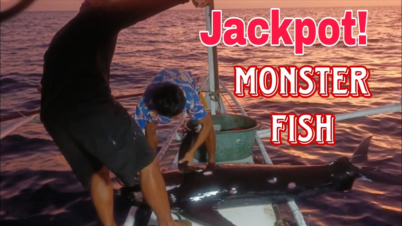 Jackpot! Napakalaking isda Sa Gabi Napadawi | 50 kilos monster fish