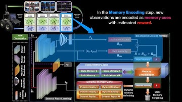 BioSLAM: A Bio-inspired Lifelong Memory System for General Place Recognition