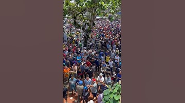 Mấy ngàn người giựt cô hồn nhìn đã mắt NGÃ NĂM TV #shorts #summerofshorts #mcvshorts