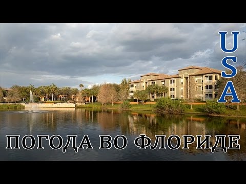 Видео: Погода и климат в Тарпон-Спрингс, Флорида
