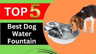 Top 5 Best Dog Water Fountain in 2024