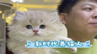 新时代养猫人