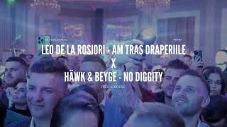 Leo de la Rosiori ❌ HÄWK & BEYGE - Am tras draperiile (Tech & House Remix) Prod.ElGordo Resimi