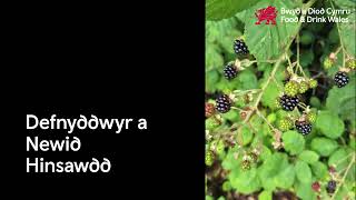 Hyfforddiant Addasu I Newid Hinsawdd A Chydnerthedd Modiwl 8 Cwsmeriaid A Defnyddwyr