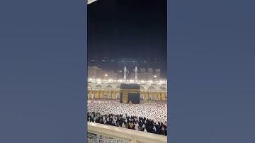 تلاوة عطرة من آواخر سورة البقرة #ماهر_المعيقلي