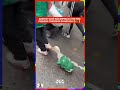 Pega o carisma desse pato mexicano! 🦆😅