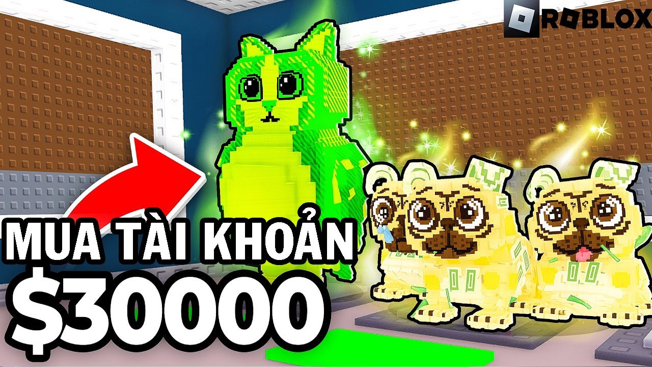 Dùng 30.000$  (800 triệu đồng) mua tài khoản top Sever trong Đánh Cắp Brainrot Roblox | TN Gaming