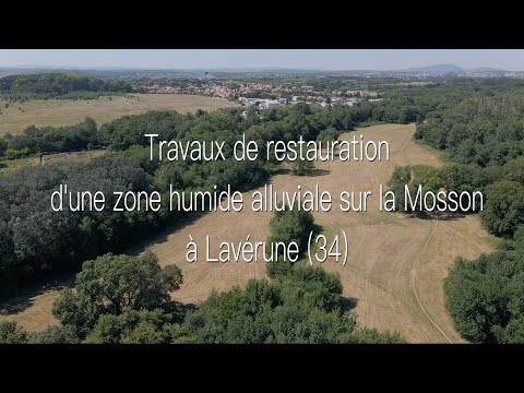 Travaux de restauration d'une zone humide alluviale à Lavérune (34) épisode 1