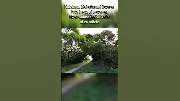Mshukuruni Bwana Kwa Kuwa Ni Mwema Kwa Maana Fadhili Zake Ni Za Milele 
