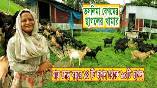 তাসলিমার ছাগলের খামার (মাত্র দেড় বছরে ১৪ টি ছাগল থেকে ৯০টি ছাগল) Goat Farming ll Roza Agro