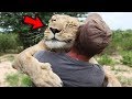 Top 5 PETS WHO SAVED THEIR OWNERS LIVES!