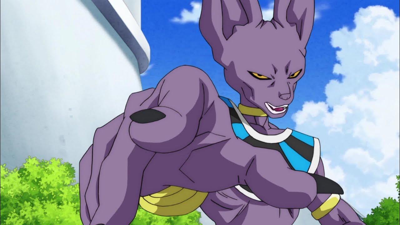 Bulma Slaps Beerus The God Of Destruction Beerus Knocks Out Bulma YouTube