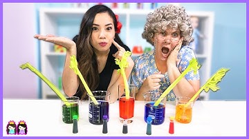 How to make Color Changing Celery! Science Experiments