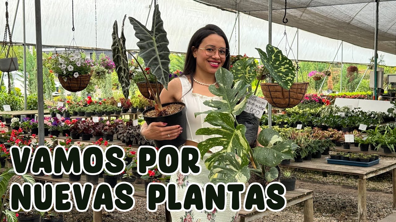 Cómo elegir las mejores plantas del vivero para que duren más en casa │Candy Bu