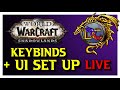 Dragonflight Weak Auras and Macro Creation Livestream