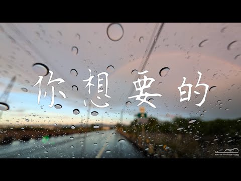你想要的 (Violin Guitar Duet) - 顏人中