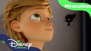 Är Adrian kär i Ladybug? | Miraculous | Disney Channel Sverige
