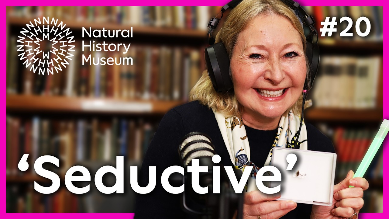 Летали ли ведьмы на метлах? Наш гость объясняет, почему мы можем так думать | «Идеальный» экземпл...