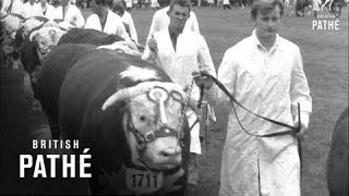 Kenilworth Royal Show (1969)