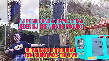 Dj Pong Pong X CepaK CepaK Jeder Dj Brewok 69 Project Cocok Buat Cek Sound Mas Tri Jaya