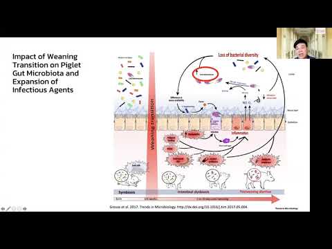 GUT MICRO AND PROBIOTIC