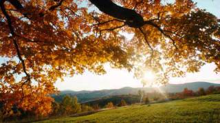 Barry And Cailean We Were Bored