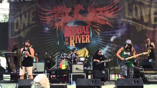 Katchafire "Collie Herb Man" live at Reggae on he River 2015 chords