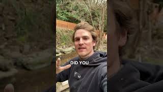 Japan Has A Huge Problem..