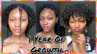 *Very Detailed* Big Chop &amp; 1 Year Hair Growth Update *LOT&#39;S OF PICTURES W/ EXACT DATES*