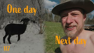 Spring in the north of Sweden | Winter one Day, Summer the next