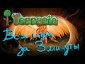 Вся Террария за 3 МИНУТЫ!