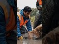 Rescue a dog 🐕 #courage #animals #dogs #viral #viralshort