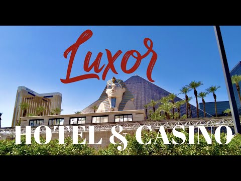 Big win on mustang money ❗️ #slots #slotmachine #casinogames #casino
