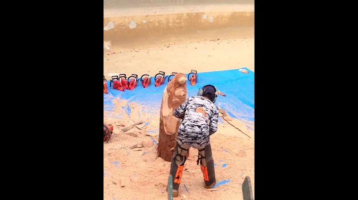 Chain saw Carving Takao HAYASHI Tokuyama Zoo 2018②