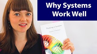 Thinking in Systems, Ch. 3: Resilience, Self-Organization and Hierarchy