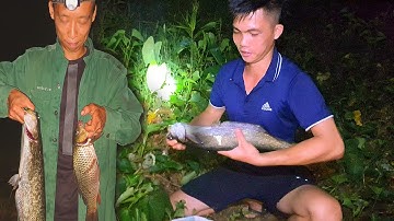 Lần Đầu Được Cá Nheo Khủng Ở Con Suối Bản | Suối Miền Núi