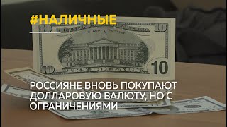 Россияне стали активнее скупать долларовую валюту