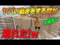 ヤバイ動きをする奴が現れて腹筋崩壊wwwww【Human Fall Flat】
