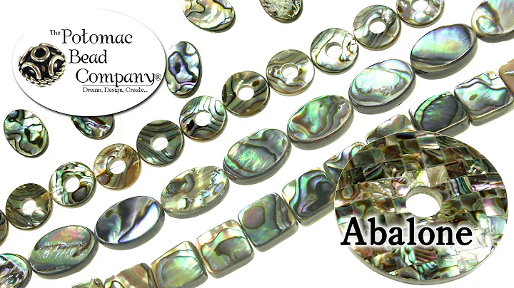 About Abalone