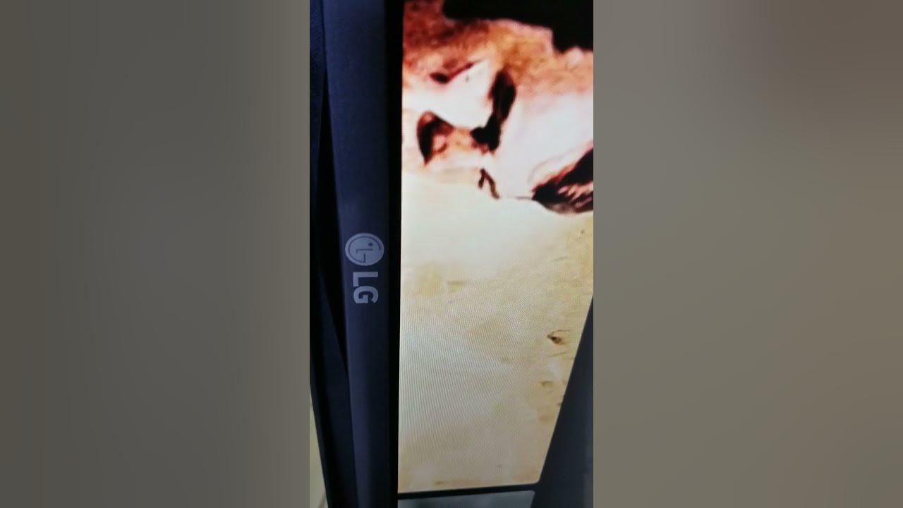 TV LG 55UF6450UA YouTube