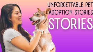 Heartwarming Tails Unforgettable Pet Adoption Stories