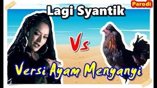 Lagi Syantik - Siti Badriah #Parodi versi Ayam