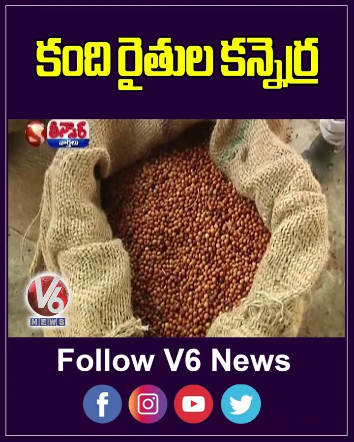 Narayanpet Farmers Rasta Roko , Demands To MSP For Redgram Crop Kandulu | V6 Teenmaar