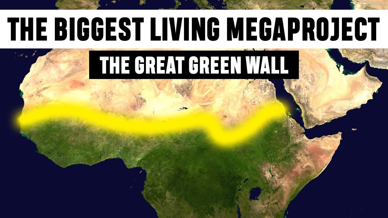 The Biggest Living Megaproject | Great Green Wall