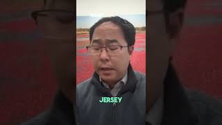 NJ senator slams Trump's 'mob boss' tactics #shorts