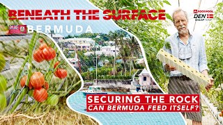 Securing the Rock: Can Bermuda feed itself? // BTS Episode #25