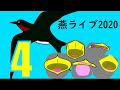 つばめライブ2020-04  2020年07月07日夜から