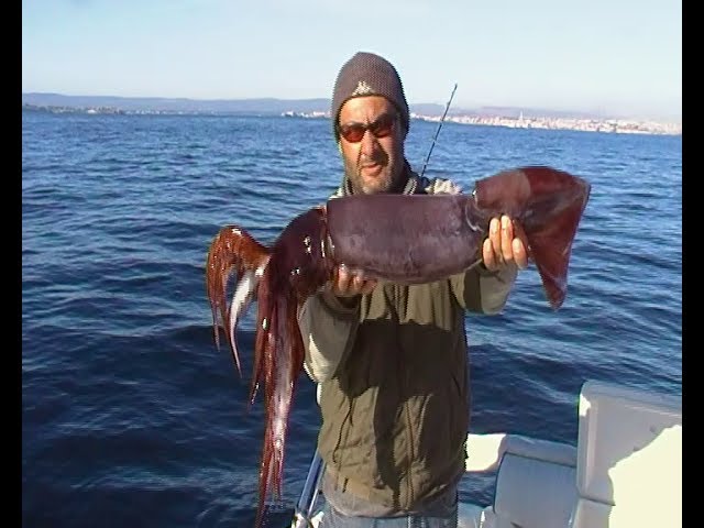 pesca al totano di giorno pesca al totano di giorno