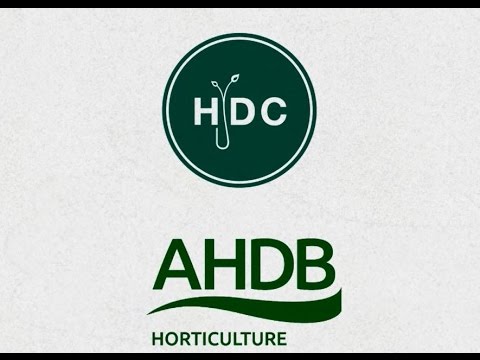 HDC becomes AHDB Horticulture this week...