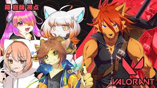 【VALORANT】Vtuber交流会！：箱 庭師 視点【箱 庭師/VTuber】